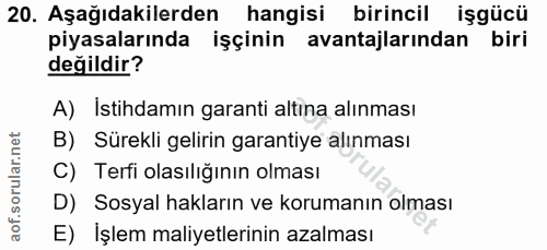 20. soru: Aşağıdakilerden hangisi birincil işgücü piyasalarında işçinin avantajlarından biri değildir? A) Istihdamın garanti al…