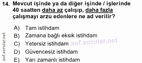 14. soru: Mevcut işinde ya da diğer işinde / işlerinde 40 saatten daha az çalışıp, daha fazla çalışmayı arzu edenlere ne ad ver…
