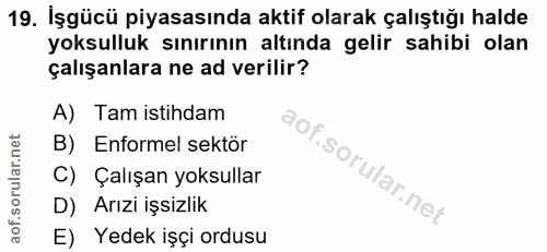 19. soru: İşgücü piyasasında aktif olarak çalıştığı halde yoksulluk sınırının altında gelir sahibi olan çalışanlara ne ad veril…