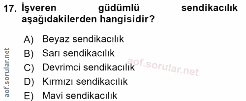 17. soru: İşveren güdümlü sendikacılık aşağıdakilerden hangisidir? A) Beyaz sendikacılık B) Sarı sendikacılık C) Devrimci sendi…