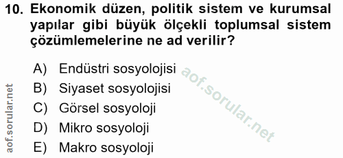10. soru: Ekonomik düzen, politik sistem ve kurumsal yapılar gibi büyük ölçekli toplumsal sistem çözümlemelerine ne ad verilir?…