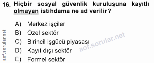 16. soru: Hiçbir sosyal güvenlik kuruluşuna kayıtlı olmayan istihdama ne ad verilir? A) Merkez işçiler B) Özel sektör C) Birinc…