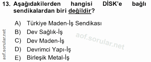13. soru: Aşağıdakilerden hangisi DiSK'e bağlı sendikalardan biri değildir? A) Türkiye Maden-İş Sendikası B) Dev Sağlık-lş C) D…