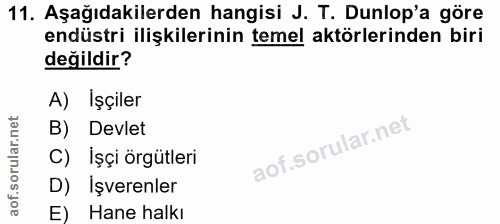 11. soru: Aşağıdakilerden hangisi J. T. Dunlop'a göre endüstri ilişkilerinin temel aktörlerinden biri değildir? A) İşçiler B) D…