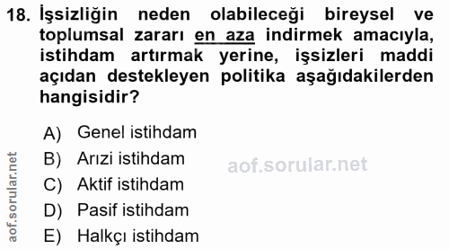18. soru: İşsizliğin neden olabileceği bireysel ve toplumsal zararı en aza indirmek amacıyla, istihdam artırmak yerine, işsizle…