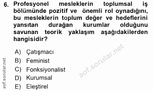 6. soru: Profesyonel mesleklerin toplumsal iş bölümünde pozitif ve önemli rol oynadığını, bu mesleklerin toplum değer ve hedef…
