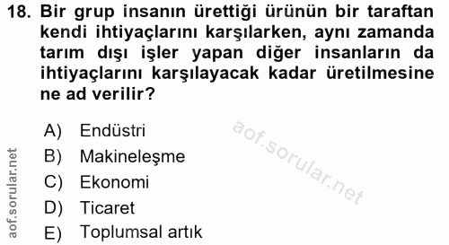 18. soru: Bir grup insanın ürettiği ürünün bir taraftan kendi ihtiyaçlarını karşılarken, aynı zamanda tarım dışı işler yapan di…