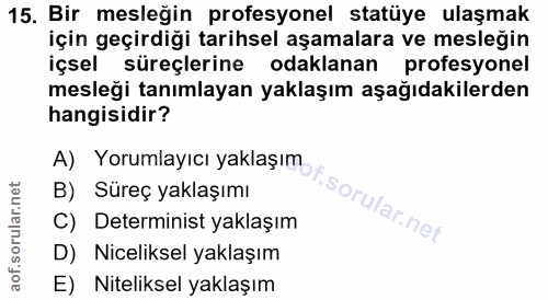 15. soru: Bir mesleğin profesyonel statüye ulaşmak için geçirdiği tarihsel aşamalara ve mesleğin içsel süreçlerine odaklanan pr…