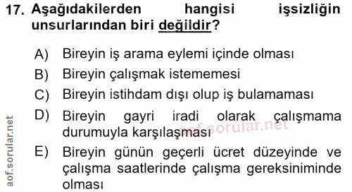 17. soru: Aşağıdakilerden hangisi işsizliğin unsurlarından biri değildir? A) Bireyin iş arama eylemi içinde olması B) Bireyin ç…