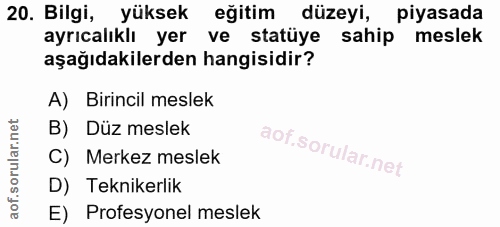 20. soru: Bilgi, yüksek eğitim düzeyi, piyasada ayrıcalıklı yer ve statüye sahip meslek aşağıdakilerden hangisidir? A) Birincil…