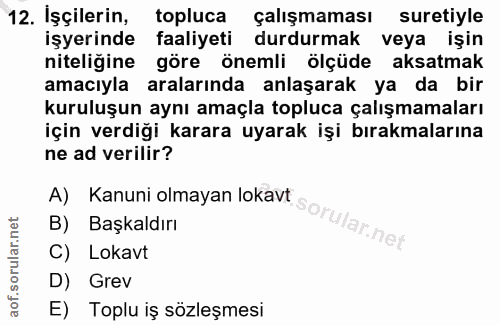 12. soru: İşçilerin, topluca çalışmaması suretiyle işyerinde faaliyeti durdurmak veya işin niteliğine göre önemli ölçüde aksatm…