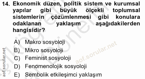 14. soru: Ekonomik düzen, politik sistem ve kurumsal yapılar gibi büyük ölçekli • toplumsal sistemlerin çözümlenmesi gibi konul…