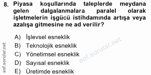 8. soru: Piyasa koşullarında taleplerde meydana gelen dalgalanmalara paralel olarak işletmelerin işgücü istihdamında artışa ve…