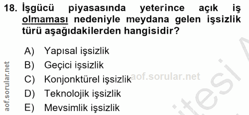 18. soru: İşgücü piyasasında yeterince açık iş olmaması nedeniyle meydana gelen işsizlik türü aşağıdakilerden hangisidir? A) Ya…