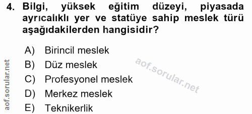 4. soru: Bilgi, yüksekeğitim düzeyi, piyasada ayrıcalıklı yer ve statüye sahip meslek türü aşağıdakilerden hangisidir? A) Biri…