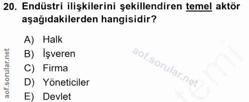 20. soru: Endüstri ilişkilerini şekillendiren temel aktör aşağıdakilerden hangisidir? A) Halk B) İşveren C) Firma D) Yöneticile…