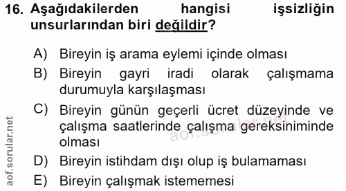 16. soru: Aşağıdakilerden hangisi işsizliğin unsurlarından biri değildir? A) Bireyin iş arama eylemi içinde olması B) Bireyin g…