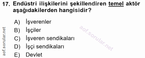 17. soru: Endüstri ilişkilerini şekillendiren temel aktör aşağıdakilerden hangisidir? A) İşverenler B) İşçiler C) işveren sendi…