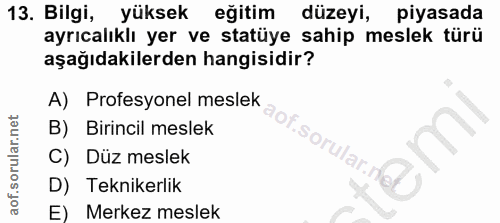 13. soru: Bilgi, yüksek eğitim düzeyi, piyasada ayrıcalıklı yer ve statüye sahip meslek türü aşağıdakilerden hangisidir? A) Pro…