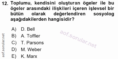 12. soru: Toplumu, kendisini oluşturan ögeler ile bu ögeler arasındaki ilişkileri içeren işlevsel bir bütün olarak değerlendire…