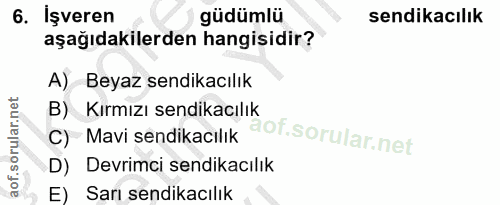 6. soru: İşveren güdümlü sendikacılık aşağıdakilerden hangisidir? A) Beyaz sendikacılık B) Kırmızı sendikacılık C) Mavi sendik…