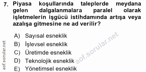 7. soru: Piyasa koşullarında taleplerde meydana gelen dalgalanmalara paralel olarak işletmelerin işgücü istihdamında artışa ve…