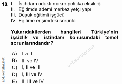 18. soru: 1. İstihdam odaklı makro politika eksikliği II. Eğitimde ademi merkeziyetçi yapı III. Düşük eğitimli işgücü IV. Eğiti…