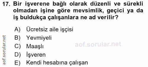 17. soru: Bir işverene bağlı olarak düzenli ve sürekli olmadan işine göre mevsimlik, geçici ya da iş buldukça çalışanlara ne ad…