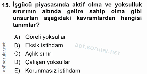15. soru: İşgücü piyasasında aktif olma ve yoksulluk sınırının altında gelire sahip olma gibi unsurları aşağıdaki kavramlardan…