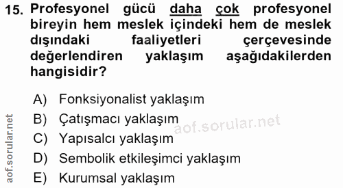 15. soru: Profesyonel gücü daha çok profesyonel bireyin hem meslek içindeki hem de meslek dışındaki faaliyetleri çerçevesinde d…