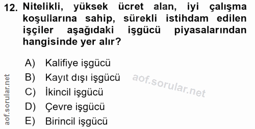 12. soru: Nitelikli, yüksek ücret alan, iyi çalışma koşullarına sahip, sürekli istihdam edilen işçiler aşağıdaki işgücü piyasal…