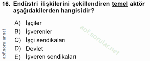 16. soru: Endüstri ilişkilerini şekillendiren temel aktör aşağıdakilerden hangisidir? A) Işçiler B) Işverenler C) Işçi sendikal…