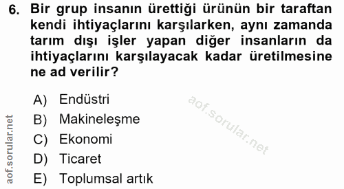 6. soru: Bir grup insanın ürettiği ürünün bir taraftan kendi ihtiyaçlarını karşılarken, aynı zamanda tarım dışı işler yapan di…
