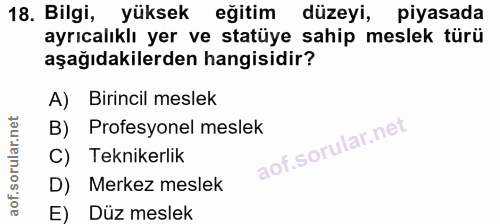 18. soru: Bilgi, yüksek eğitim düzeyi, piyasada ayrıcalıklı yer ve statüye sahip meslek türü aşağıdakilerden hangisidir? A) Bir…
