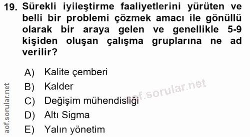 19. soru: Sürekli iyileştirme faaliyetlerini yürüten ve belli bir problemi çözmek amacı ile gönüllü olarak bir araya gelen ve g…