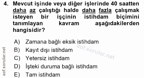 4. soru: Mevcut işinde veya diğer işlerinde 40 saatten daha az çalıştığı halde daha fazla çalışmak isteyen bir işçinin istihda…
