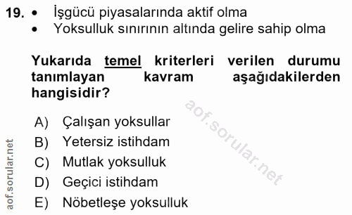 19. soru: • İşgücü piyasalarında aktif olma Yoksulluk sınırının altında gelire sahip olma Yukarıda temel kriterleri verilen dur…