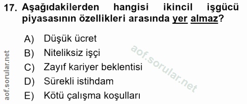 17. soru: Aşağıdakilerden hangisi ikincil işgücü piyasasının özellikleri arasında yer almaz? A) Düşük ücret B) Niteliksiz işçi…