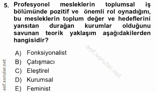 5. soru: Profesyonel mesleklerin toplumsal is bölümünde pozitif ve önemli rol oynadığını, bu mesleklerin toplum değer ve hedef…