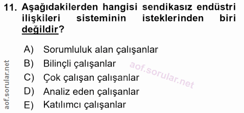 11. soru: Aşağıdakilerden hangisi sendikasız endüstri ilişkileri sisteminin isteklerinden biri değildir? A) Sorumluluk alan çal…
