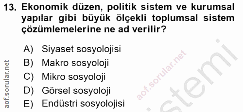 13. soru: Ekonomik düzen, politik sistem ve kurumsal yapılar gibi büyük ölçekli toplumsal sistem çözümlemelerine ne ad verilir?…