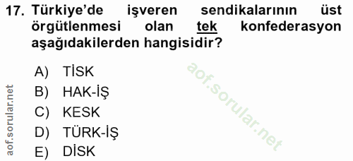 17. soru: Türkiye'de işveren sendikalarının üst örgütlenmesi olan tek konfederasyon aşağıdakilerden hangisidir? A) TISK B) HAK-…