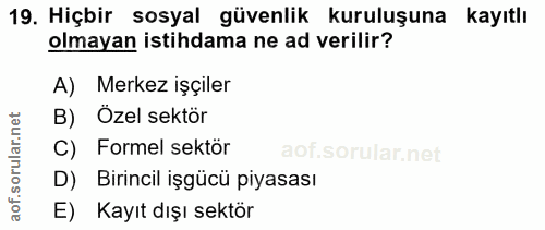 19. soru: Hiçbir sosyal güvenlik kuruluşuna kayıtlı olmayan istihdama ne ad verilir? A) Merkez işçiler B) Özel sektör C) Formel…