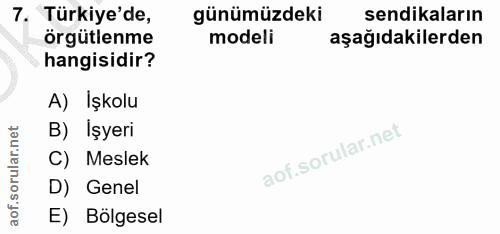 7. soru: Türkiye'de, günümüzdeki sendikaların orgütlenme modeli aşağıdakilerden hangisidir? A) Işkolu B) İşyeri C) Meslek D) G…