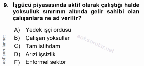 9. soru: İşgücü piyasasında aktif olarak çalıştığı halde yoksulluk sınırının altında gelir sahibi olan çalışanlara ne ad veril…