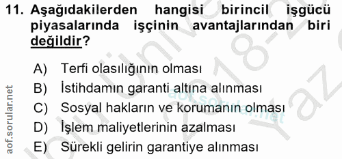 11. soru: Aşağıdakilerden hangisi birincil işgücü piyasalarında işçinin avantajlarından biri değildir? A) Terfi olasılığının ol…