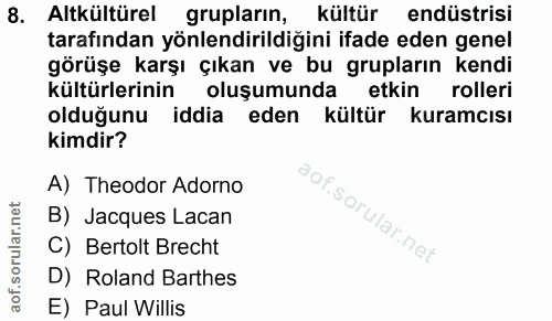8. soru: Altkültürel grupların, kültür endüstrisi tarafından yönlendirildiğini ifade eden genel görüşe karşı çıkan ve bu grupl…
