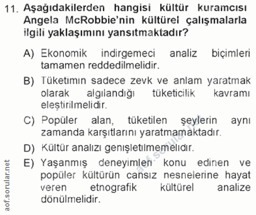11. soru: Aşağıdakilerden hangisi kültür kuramcısı Angela McRobbie'nin kültürel çalışmalarla ilgili yaklaşımını yansıtmaktadır?…