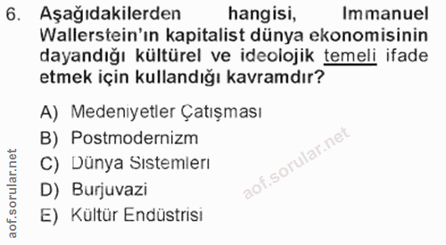 6. soru: Aşağıdakilerden hangisi, Immanuel Wallerstein'ın kapitalist dünya ekonomisinin dayandığı kültürel ve ideolojik temeli…