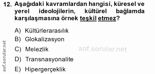12. soru: Aşağıdaki kavramlardan hangisi, küresel ve yerel ideolojilerin, kültürel baglamda karşılaşmasına örnek teşkil etmez?…